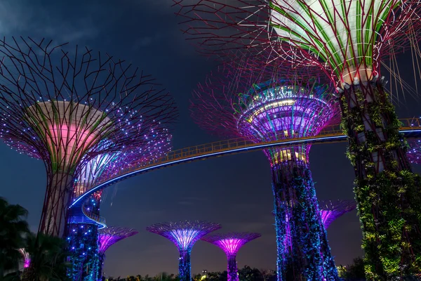 Gardens by the Bay Twilight