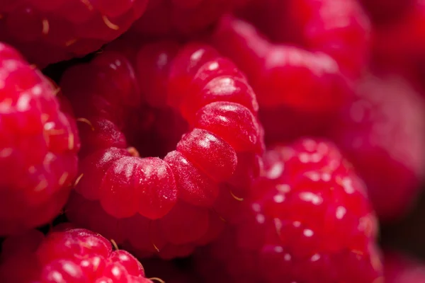 Raspberry.