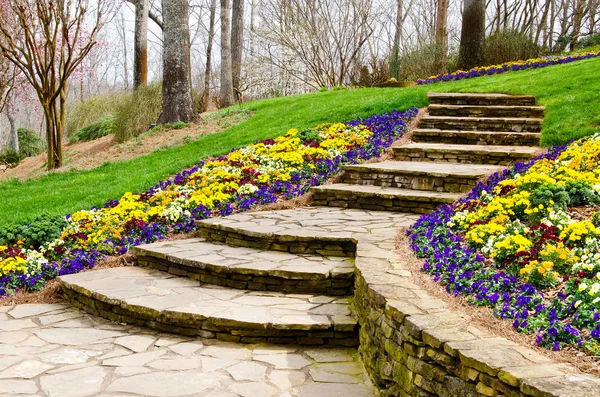 Steps leading to garden