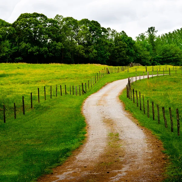 Winding country road with barbed wire fence