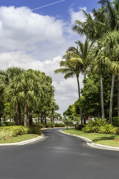 Traditional gated community road in Naples, Florida