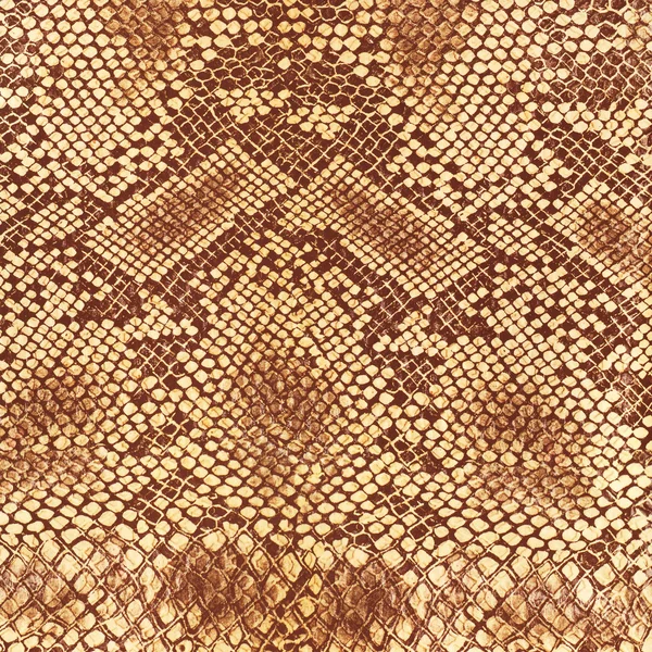 Wild animal body skin pattern