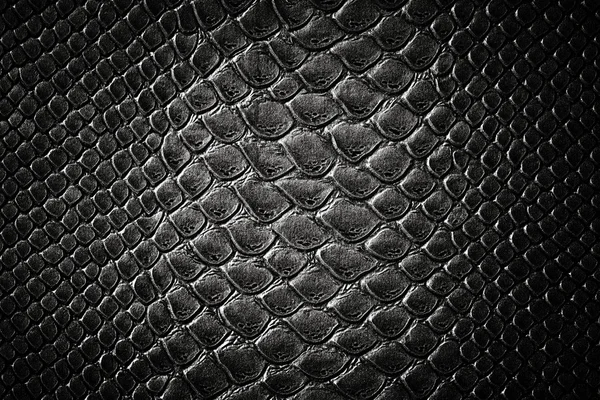 Crocodile black skin texture