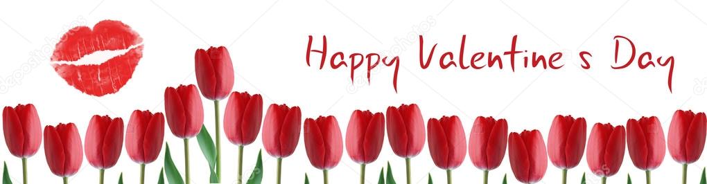 Valentines Day banner with tulips — Stock Photo © bolina ...