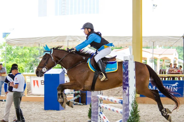 MaxWin Show Jumping League & Horse Guard 2014