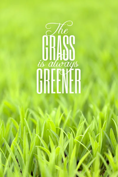 Grass is Always Greener Quote
