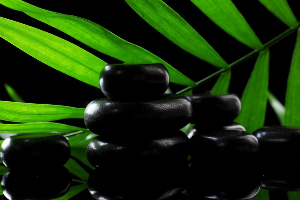 Spa stones and green palm leaf on black background