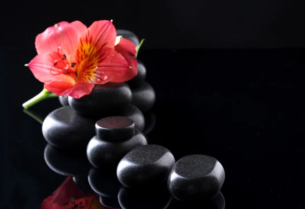 Spa stones and red flower on black background