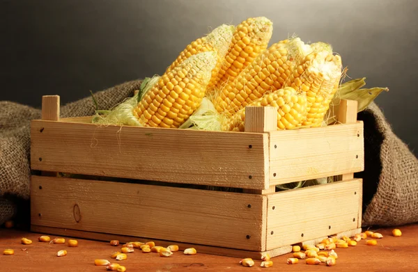 Fresh corn in box, on wooden table, on grey background