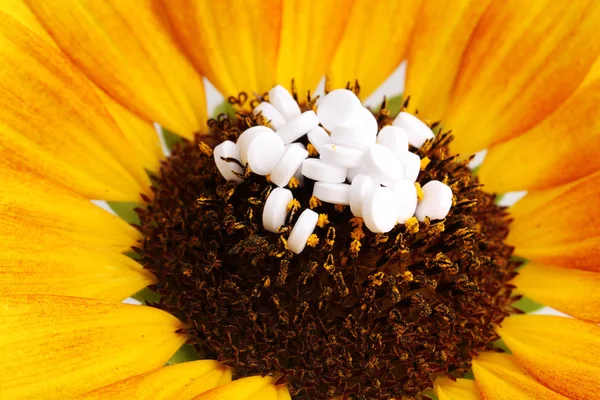 Homeopathic tablets and flower close-up