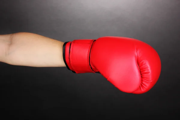 Red boxing gloves on hands on grey background — Stock Photo #13575039