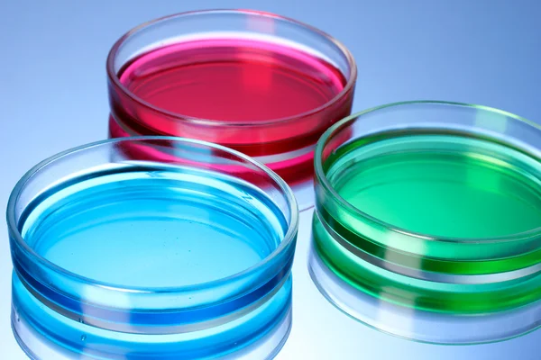 Color liquid in petri dishes on blue background