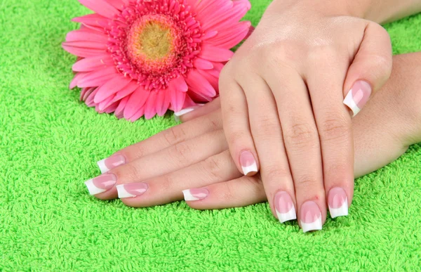Woman hands with french manicure and flower on green towel