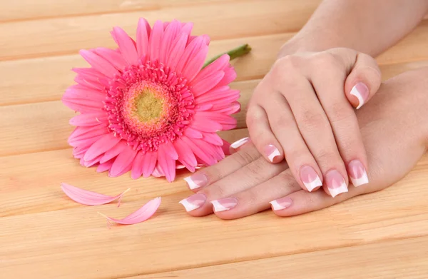 Woman hands with french manicure and flower on wooden background