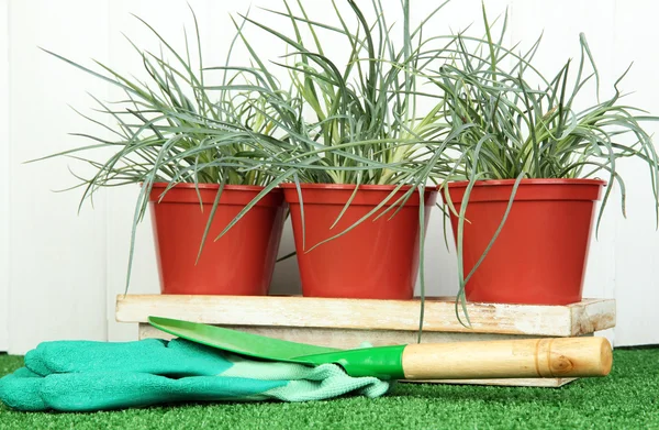 Pots with seedling on green grass on wooden background