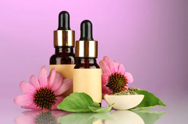Bottles with essence oil and purple echinacea, on pink background