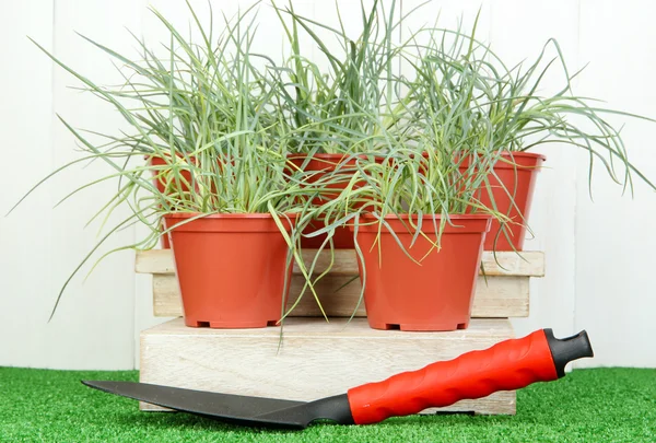 Pots with seedling on green grass on wooden background