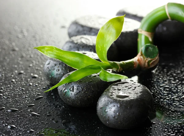 Spa stones with drops and green bamboo on grey background