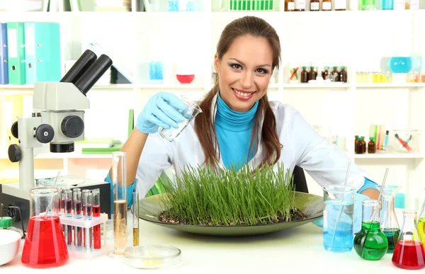 Young female scientist is conducting experiments with plants in laboratory