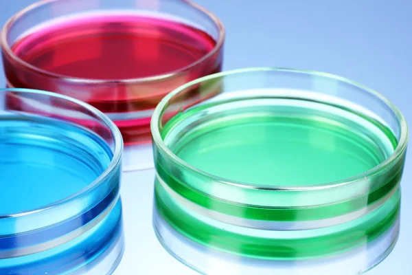 Color liquid in petri dishes on blue background