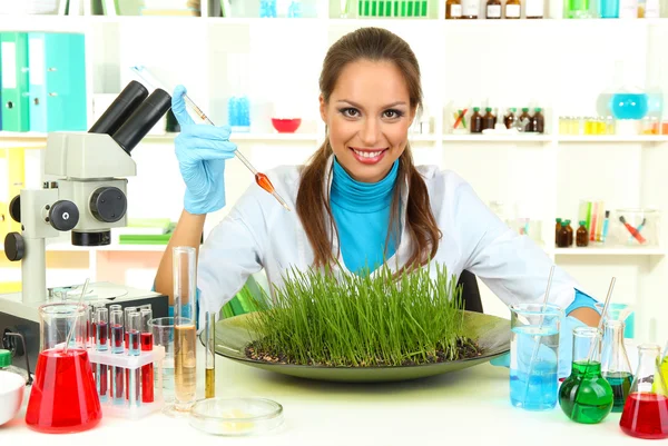 Young female scientist is conducting experiments with plants in laboratory