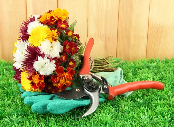 Secateurs with flowers on grass on fence background