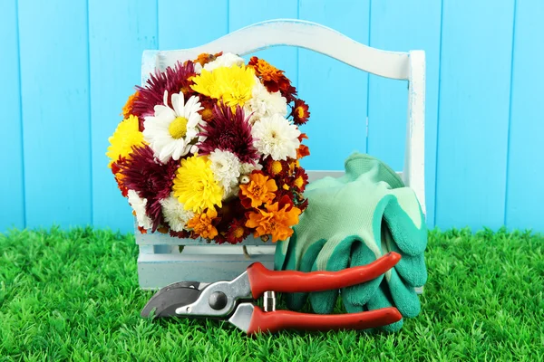 Secateurs with flowers in box on fence background