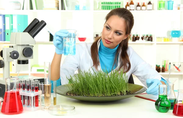 Young female scientist is conducting experiments with plants in laboratory
