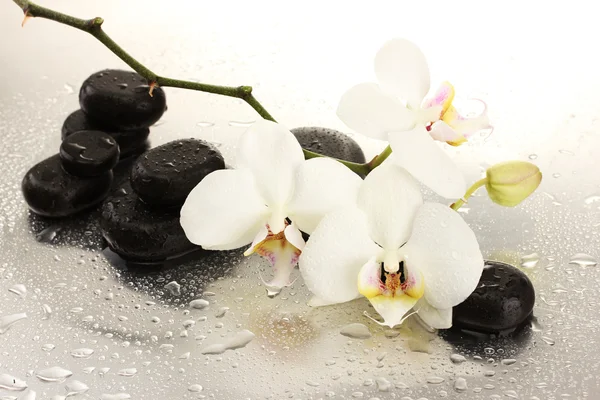 Spa stones and orchid flowers, isolated on white