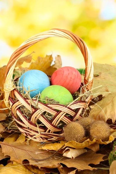 Easter eggs in wicker basket hidden in leaves