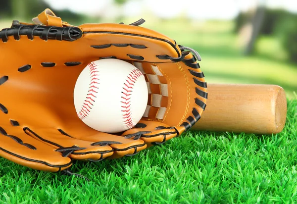 Baseball glove, bat and ball on grass in park