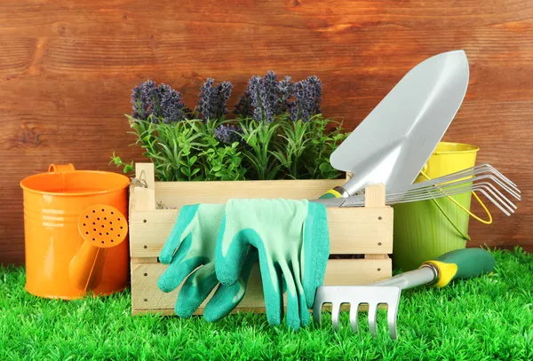 Garden tools on grass in yard