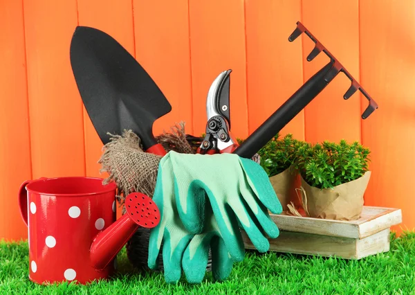 Garden tools on grass in yard