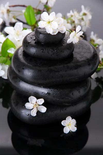 Spa stones and white flowers on dark background