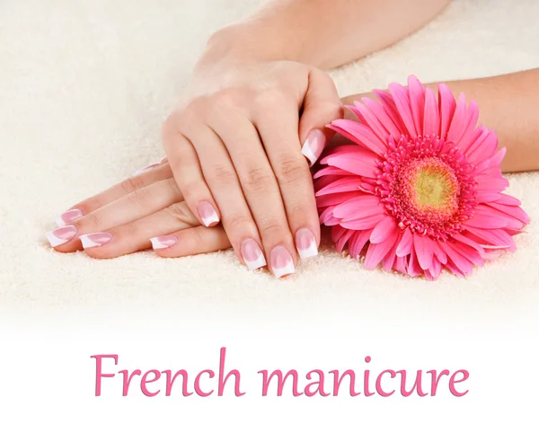 Woman hands with french manicure and flower on towel