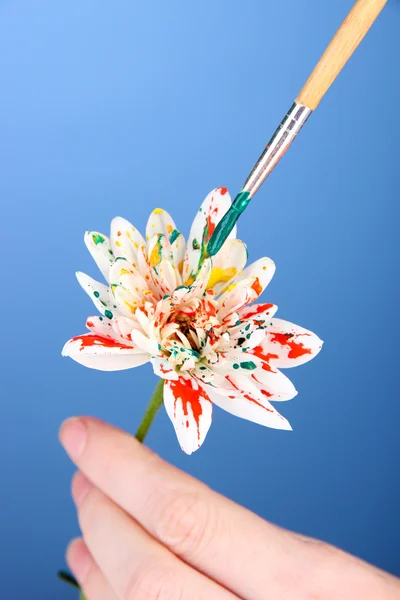 Female hands holding white flower and paint it with colors, on color background