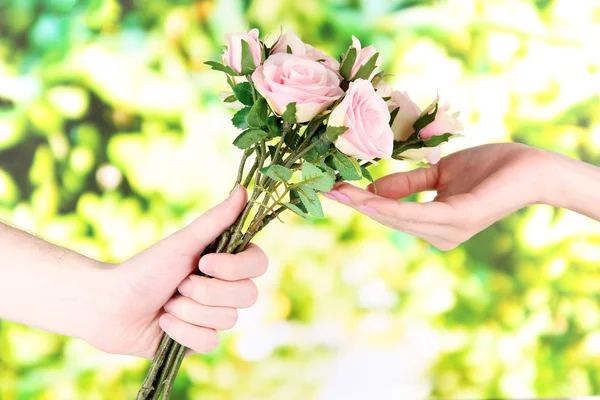 Man's hand giving a roses on bright background