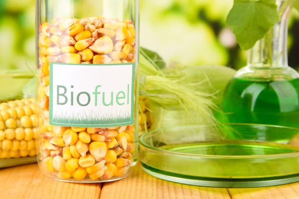 Conceptual photo of bio fuel. On bright background