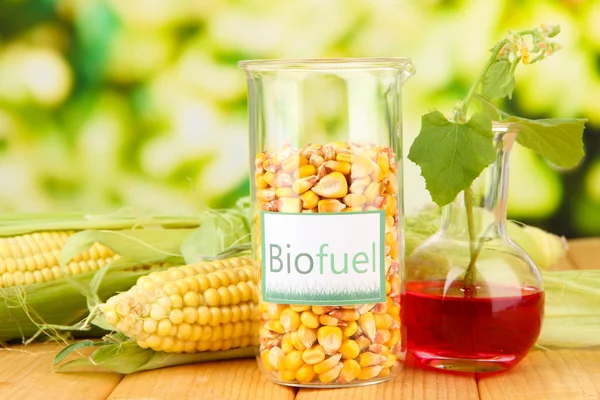 Conceptual photo of bio fuel. On bright background