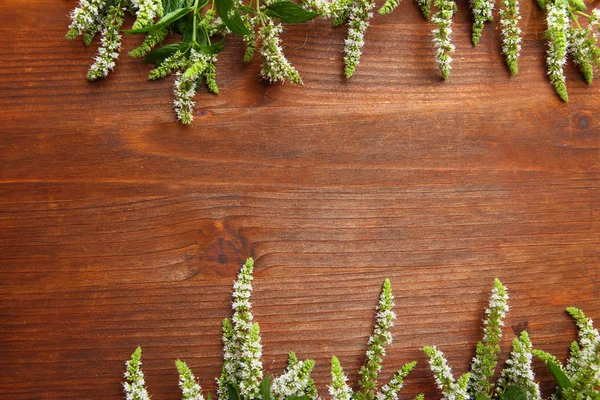 Fresh mint flowers on wooden background