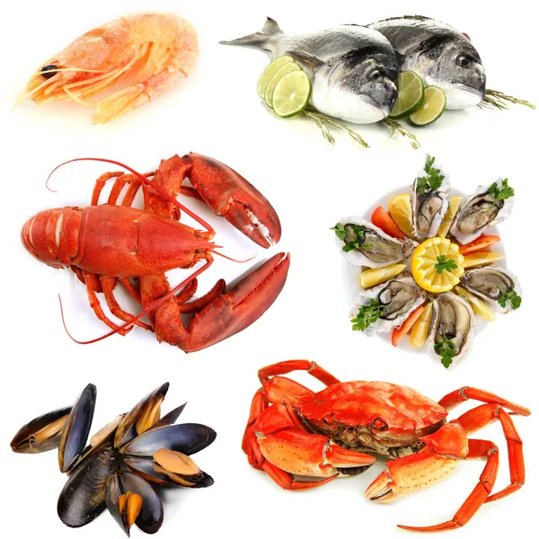 Seafood isolated on white