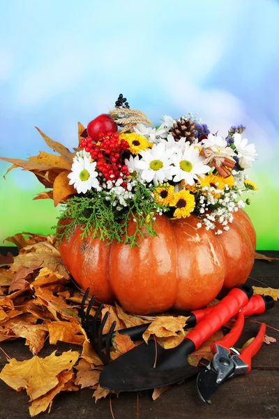 Beautiful autumn composition in pumpkin with garden instruments on table on bright background