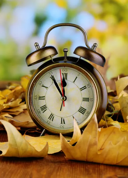 Old clock on autumn leaves on wooden table on natural background — Stock Photo #35576299