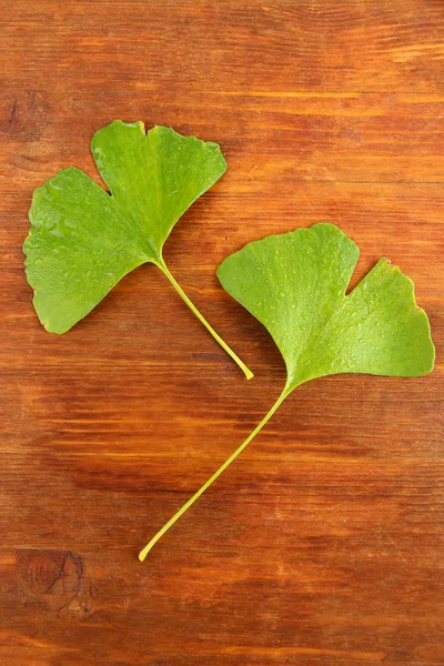Ginkgo biloba leaves on wooden background