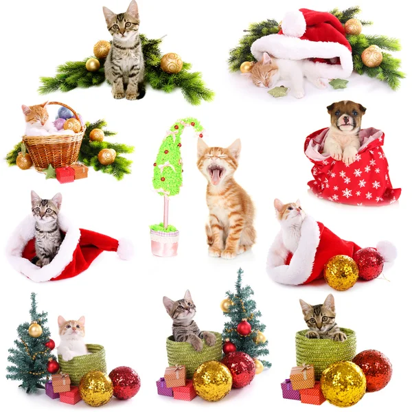 Collage of animals with Christmas decorations isolated on white