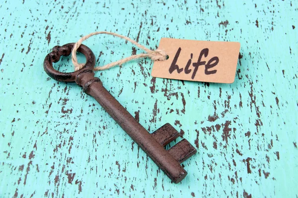 Key to life, Conceptual photo. On color wooden background