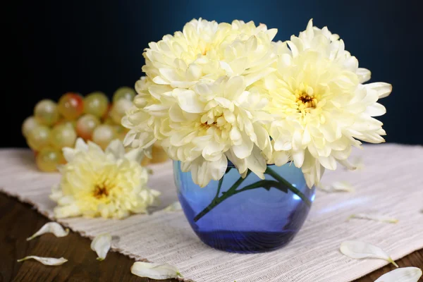 Beautiful chrysanthemum flowers in vase on table on dark blue background