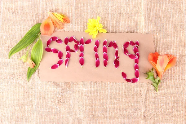 Romantic spring letters made of pink petals, on sackcloth background