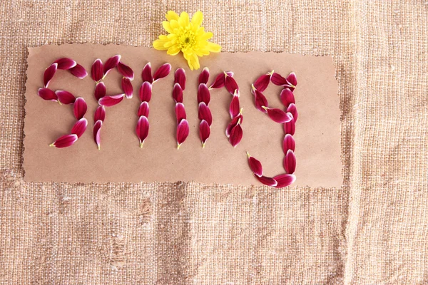 Romantic spring letters made of pink petals, on sackcloth background