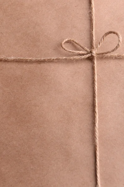 String tied in  bow on brown paper packaging close-up